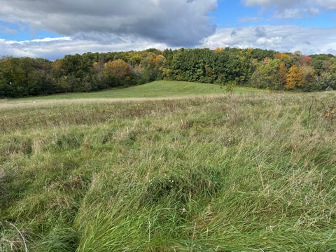 Photo of Lt8 Retreat Ct, Delafield, WI 53188 (MLS # 1986769)