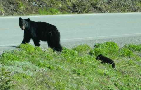 Photo of Lt4 Parkway Rd, Stephenson, WI 54114 (MLS # 1958631)