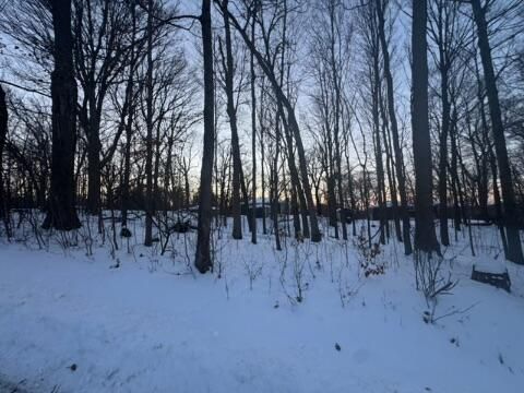 Photo of Lt 17 & 18 Forest Dr, Geneva, WI 53147 (MLS # 1948272)