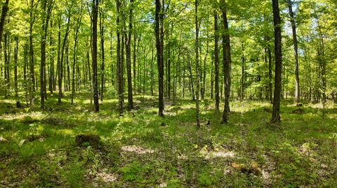 Photo of Lot 1 Federal Forest Road 3903 Rd, Laona, WI 54541 (MLS # 1964325)