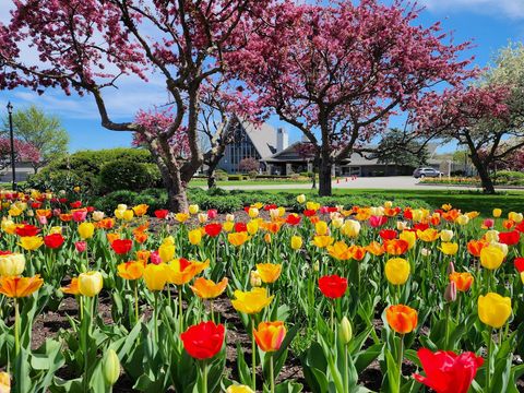 Photo of 269 Fontana Blvd, Fontana, WI 53125 (MLS # 1951090)