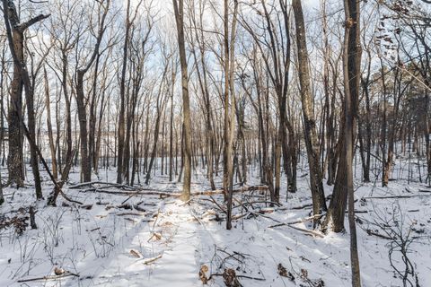 Photo of Lt 1 Rockwood Rd, Lemonweir, WI 53944 (MLS # 1948939)