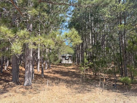 Photo of N10038 Pinecone Ct, Necedah, WI 54646 (MLS # 1959039)