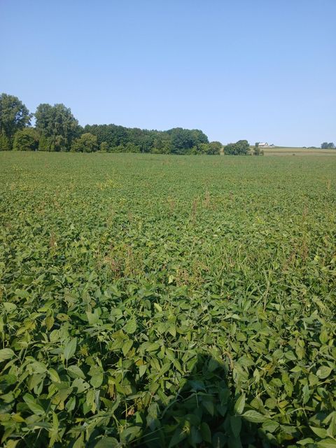 Photo of Lt0 County Road T -, Franklin, WI 54247 (MLS # 1935119)