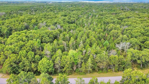 Photo of Lt25 16th Ave, Rome, WI 54457 (MLS # 1984571)
