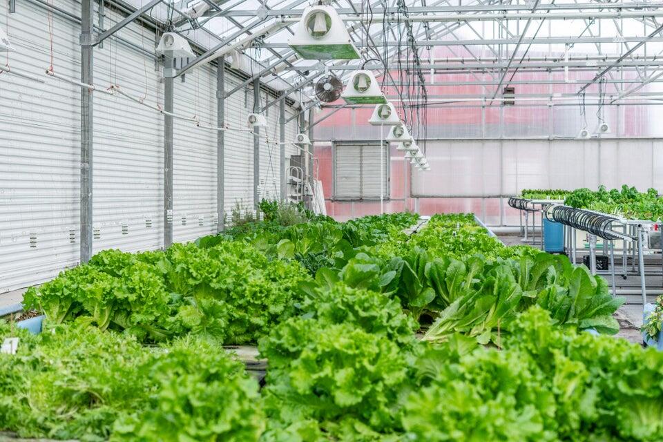 W839 Lake Orchard Ct