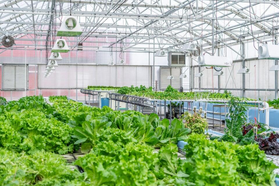 W839 Lake Orchard Ct