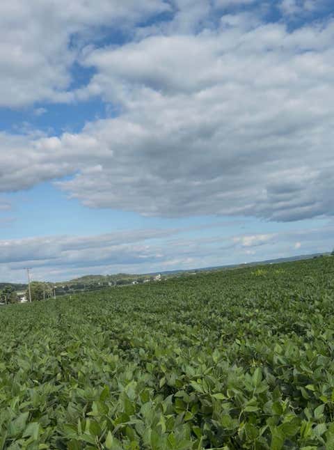 Photo of Lot 3 Gaslight Ave, Sparta, WI 54656 (MLS # 1973389)