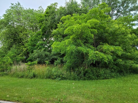 Photo of Lt0 14th Ave, Kenosha, WI 53144 (MLS # 1986604)