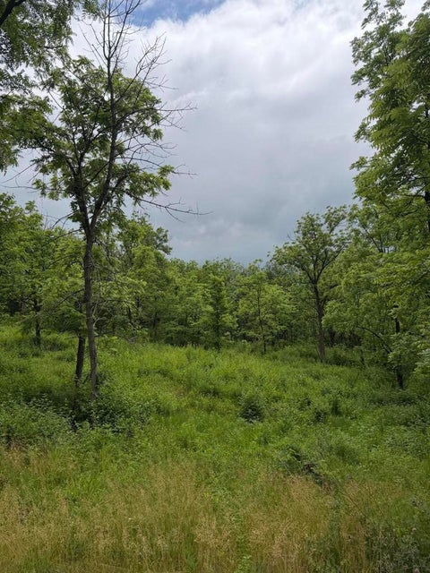 Photo of Lot 1 Krueger Rd, Geneva, WI 53147 (MLS # 1974220)