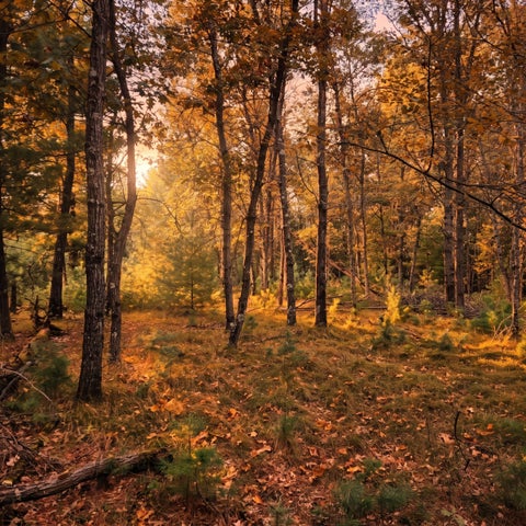Photo of Lt10 24th Ave N, Armenia, WI 54457 (MLS # 1985299)