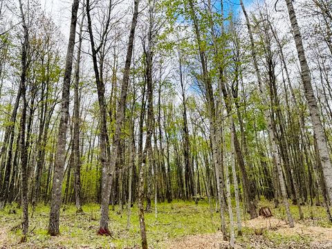 Photo of Lt4 Carrie Ln, Beaver, WI 54114 (MLS # 1963321)
