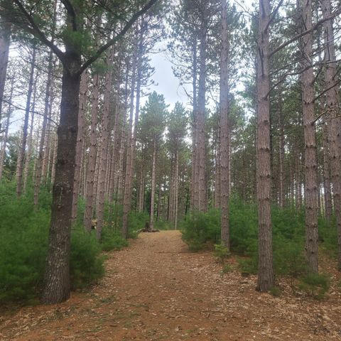 Photo of Lot 1 Fawn Ln, Hancock, WI 54943 (MLS # 1959159)