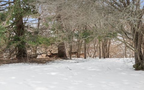 Photo of 945 W Heritage Ct, Mequon, WI 53092 (MLS # 1950282)