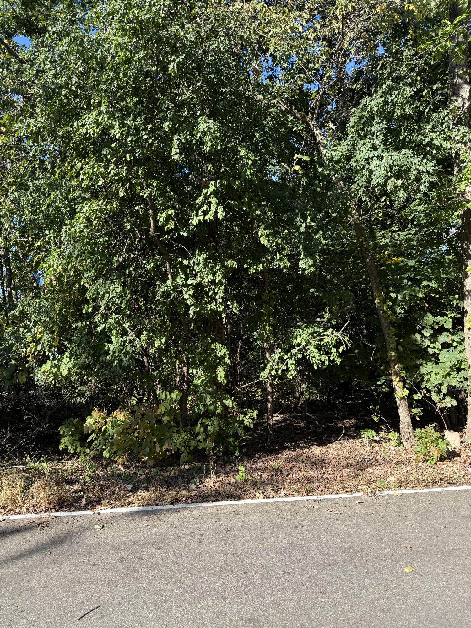 Fontana, Wisconsin 53125, United States, ,Land,Active,225880