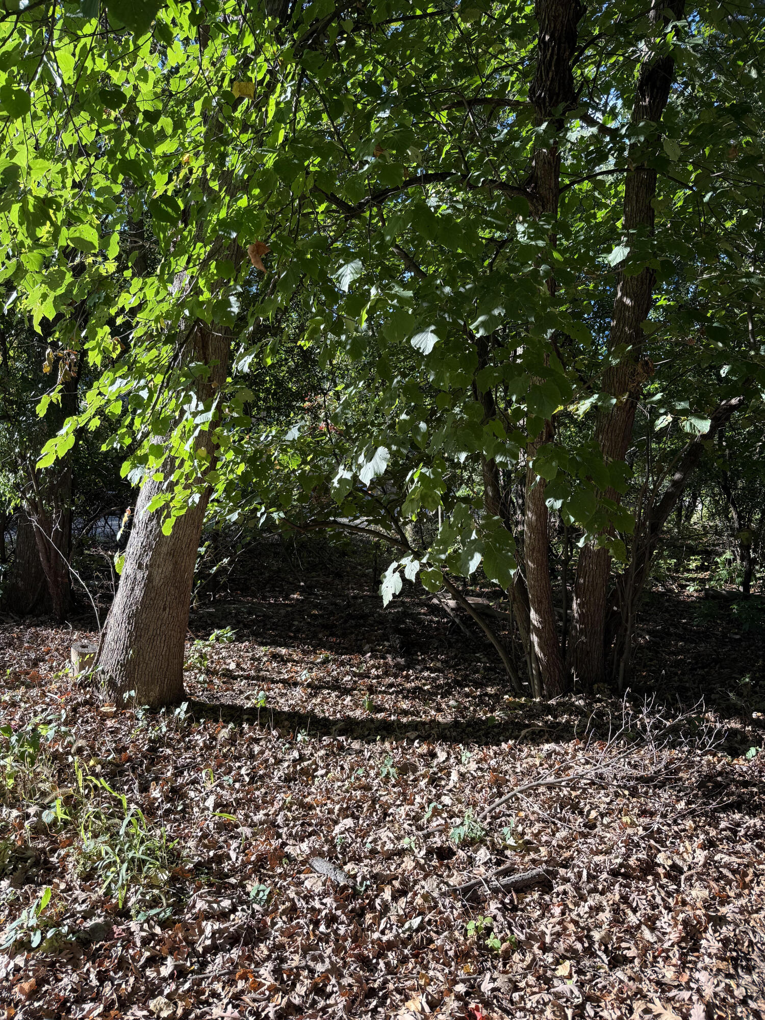 Fontana, Wisconsin 53125, United States, ,Land,Active,225880