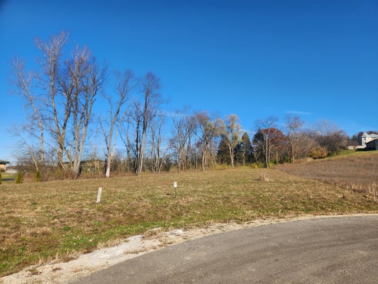 LT37 HANSON CT, BURLINGTON, WI 53105 - Image 9dfca8da34ceba804fe6cb0db7ca17e8/1903153125