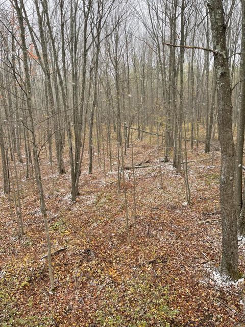 Photo of 4812 N Spur Five Rd, Jump River, WI 54766 (MLS # 1948239)