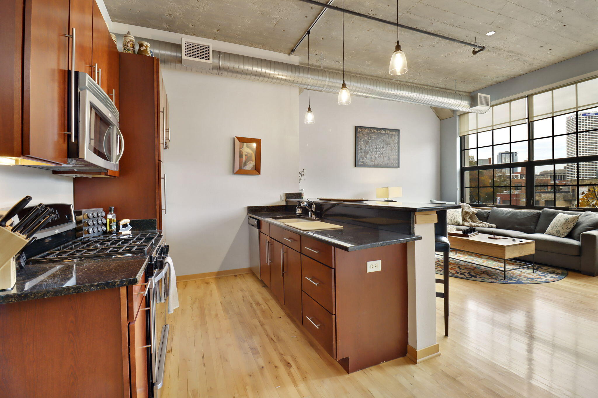 Milwaukee, Wisconsin 53202, United States, 1 Bedroom Bedrooms, ,1 BathroomBathrooms,Residential,Active,243857