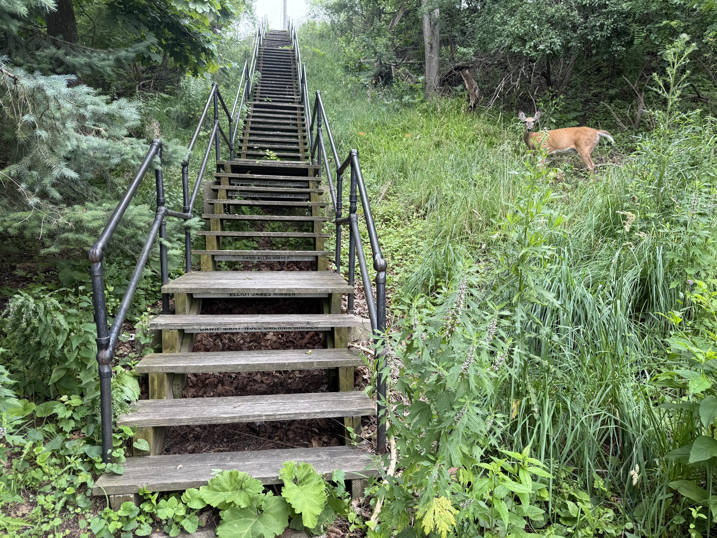 Port Washington, Arizona 53074, United States, 3 Bedrooms Bedrooms, ,3 BathroomsBathrooms,Residential,Active,176700