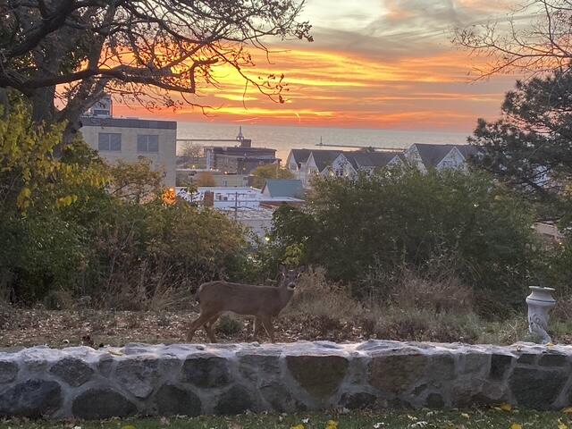 Port Washington, Arizona 53074, United States, 3 Bedrooms Bedrooms, ,3 BathroomsBathrooms,Residential,Active,176700