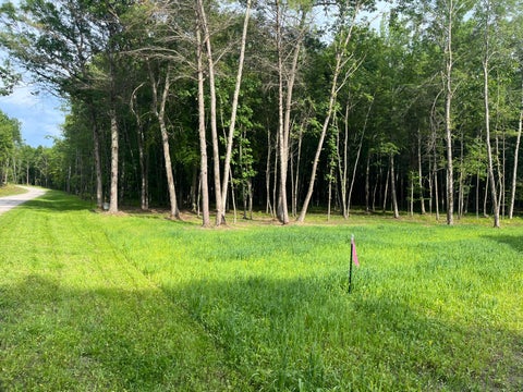 Photo of Lt4 Carrie Ln, Beaver, WI 54114 (MLS # 1969714)