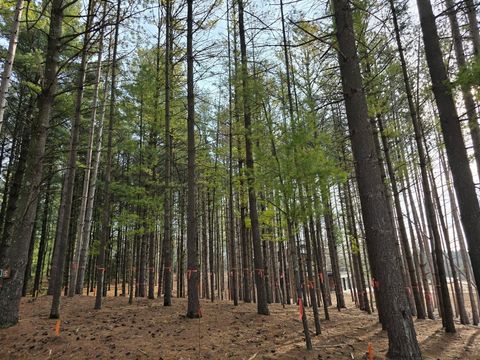 Photo of 7855 Indian Lore Rd, Farmington, WI 53090 (MLS # 1947418)