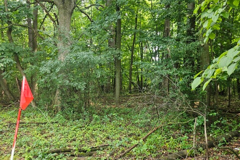 Photo of E S 42nd St, Greenfield, WI 53221 (MLS # 1976003)