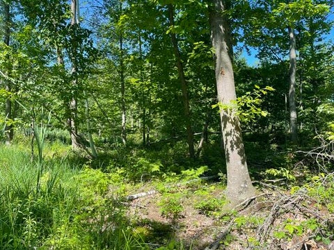 Photo of CTY Shawano Line Rd, Green Valley, WI 54124 (MLS # 1968840)