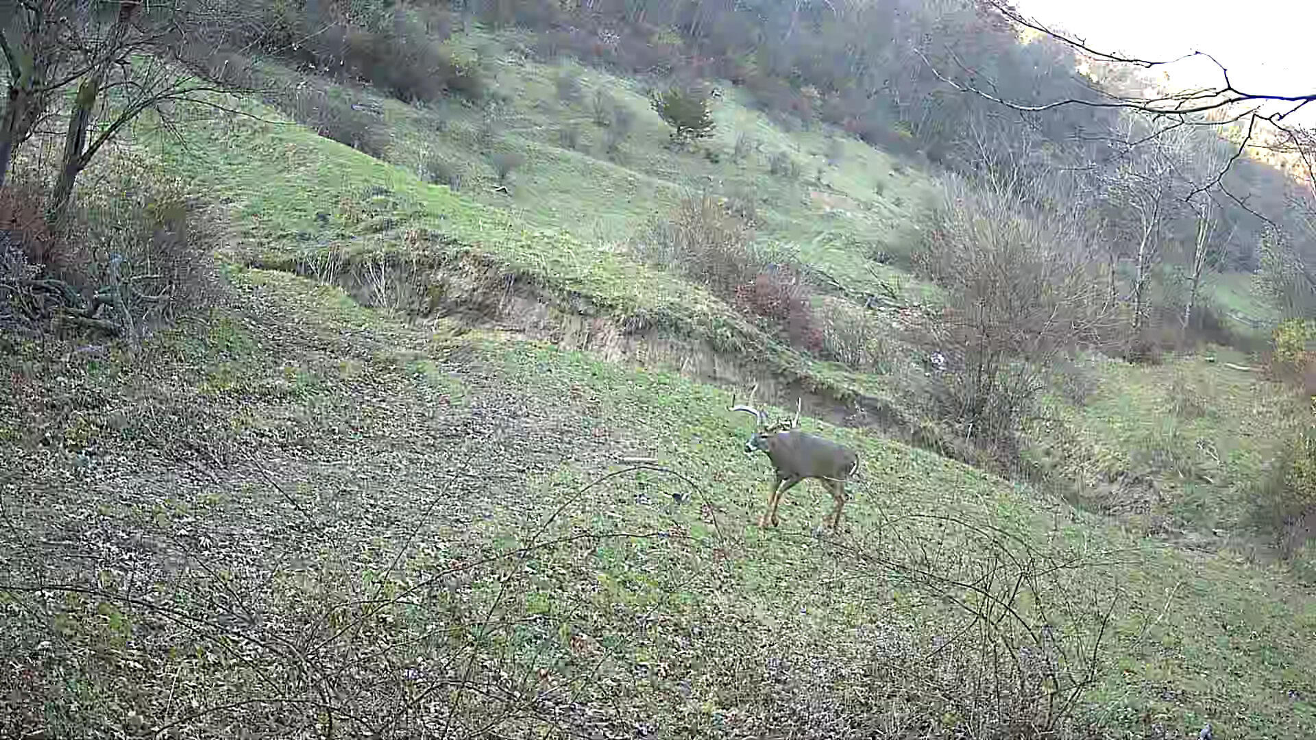 16884 County Road S -