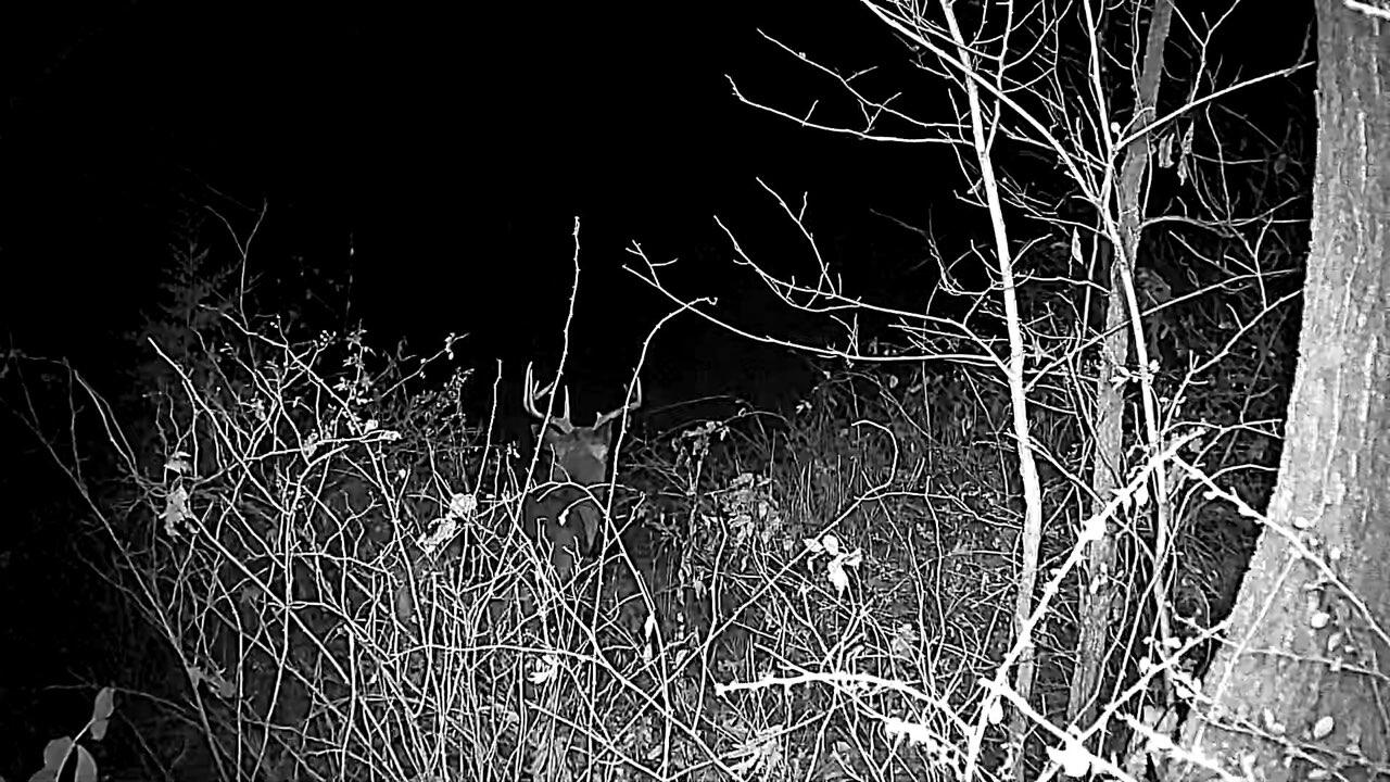 16884 County Road S -