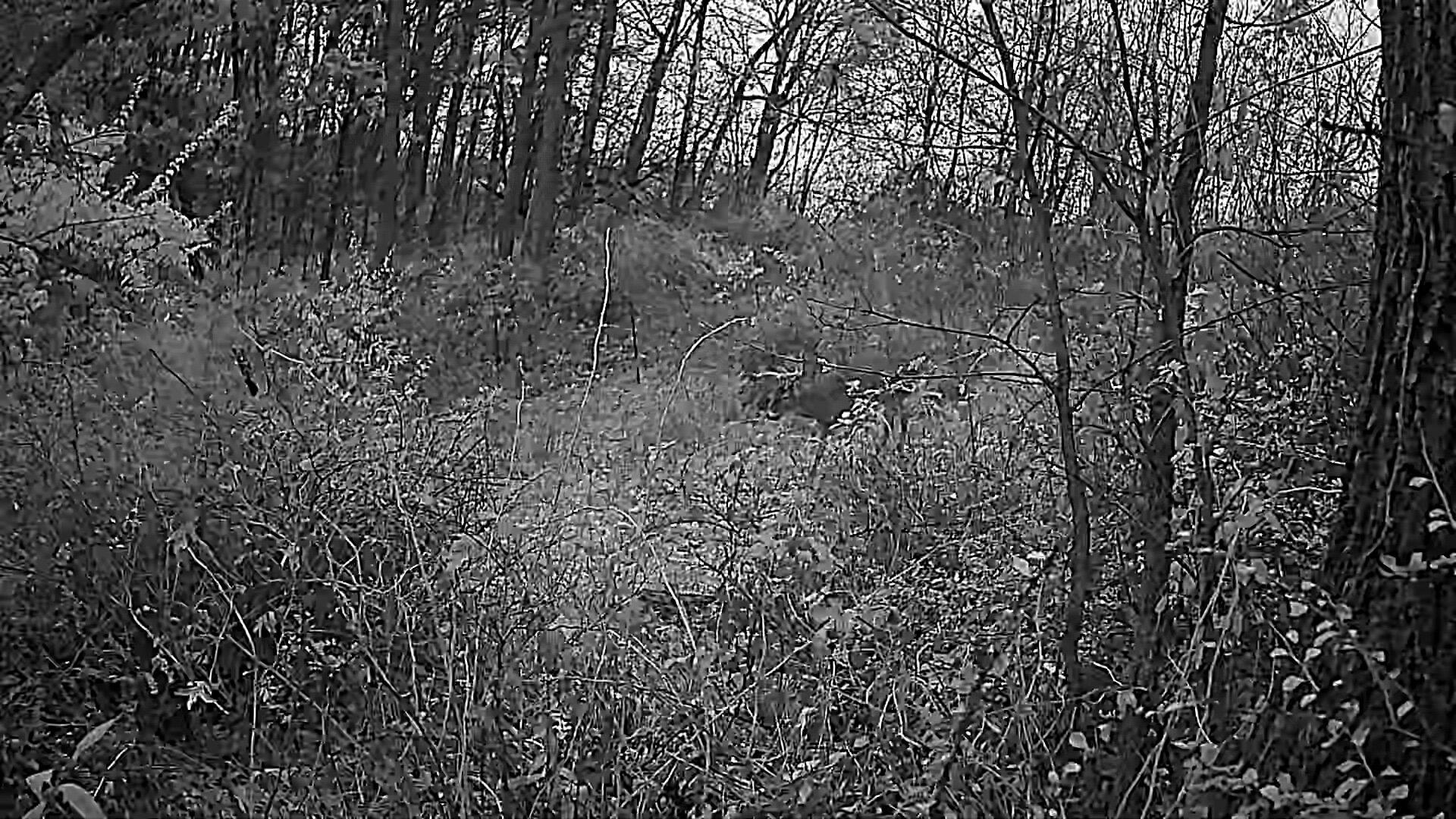 16884 County Road S -