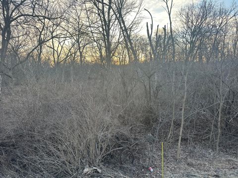 Photo of LtE Schofield Rd, Geneva, WI 53147 (MLS # 1951377)