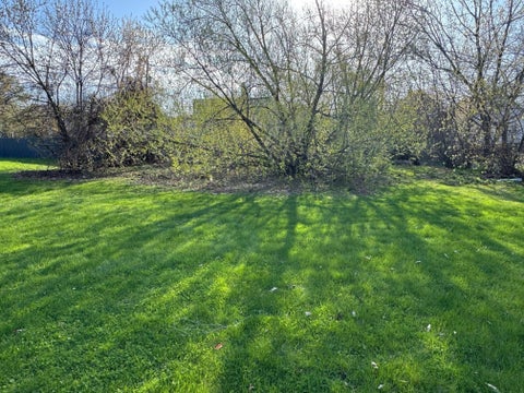 Photo of 2228 N Palmer St, Milwaukee, WI 53212 (MLS # 1976666)