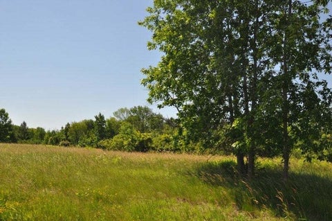 Photo of Lt1 Holly Ln, Cedarburg, WI 53012 (MLS # 1925573)