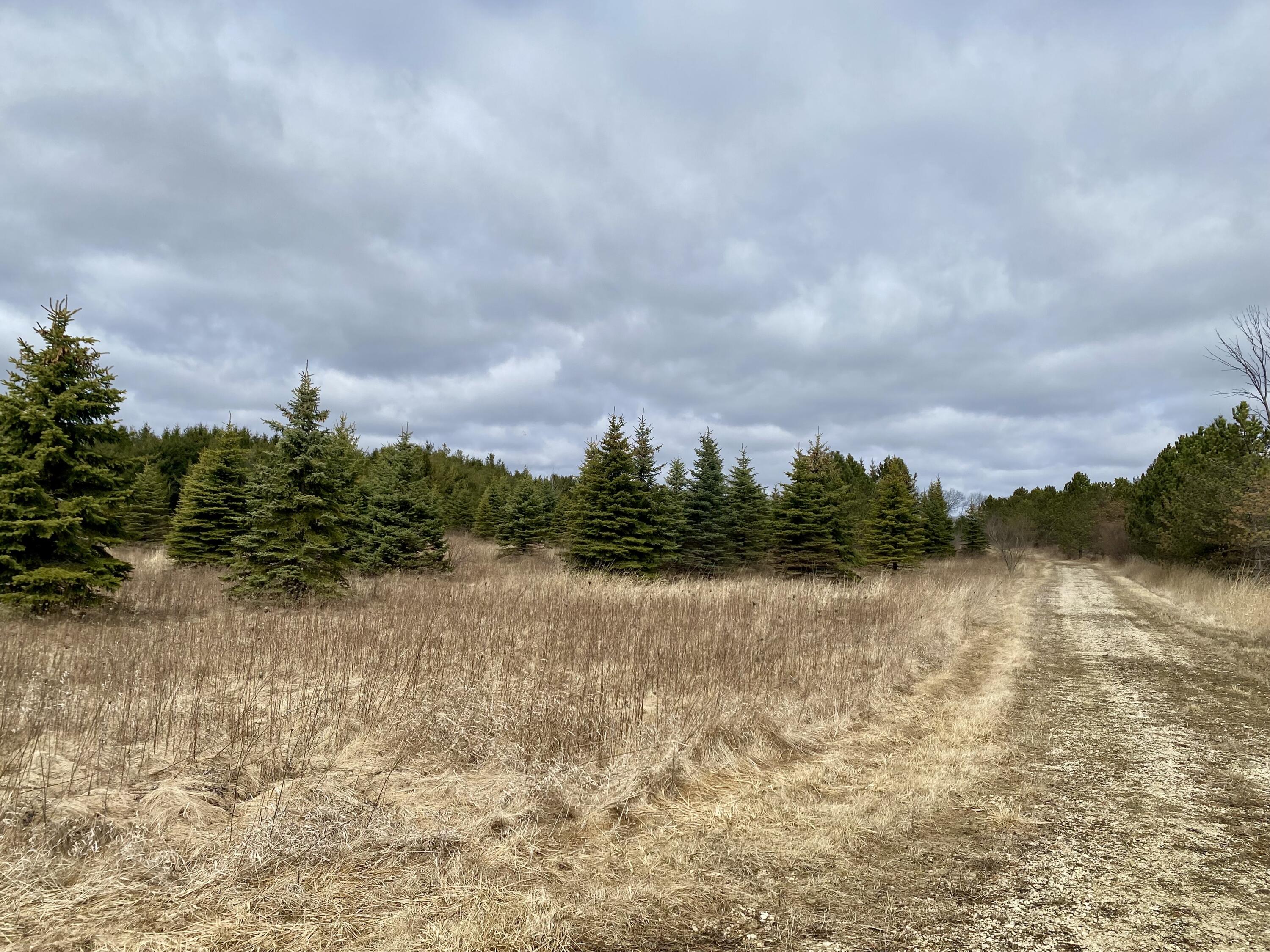 Saukville, Wisconsin 53021, United States, ,Land,Active,89 Saukville, Wisconsin 53021, United States, ,Land,Active,89