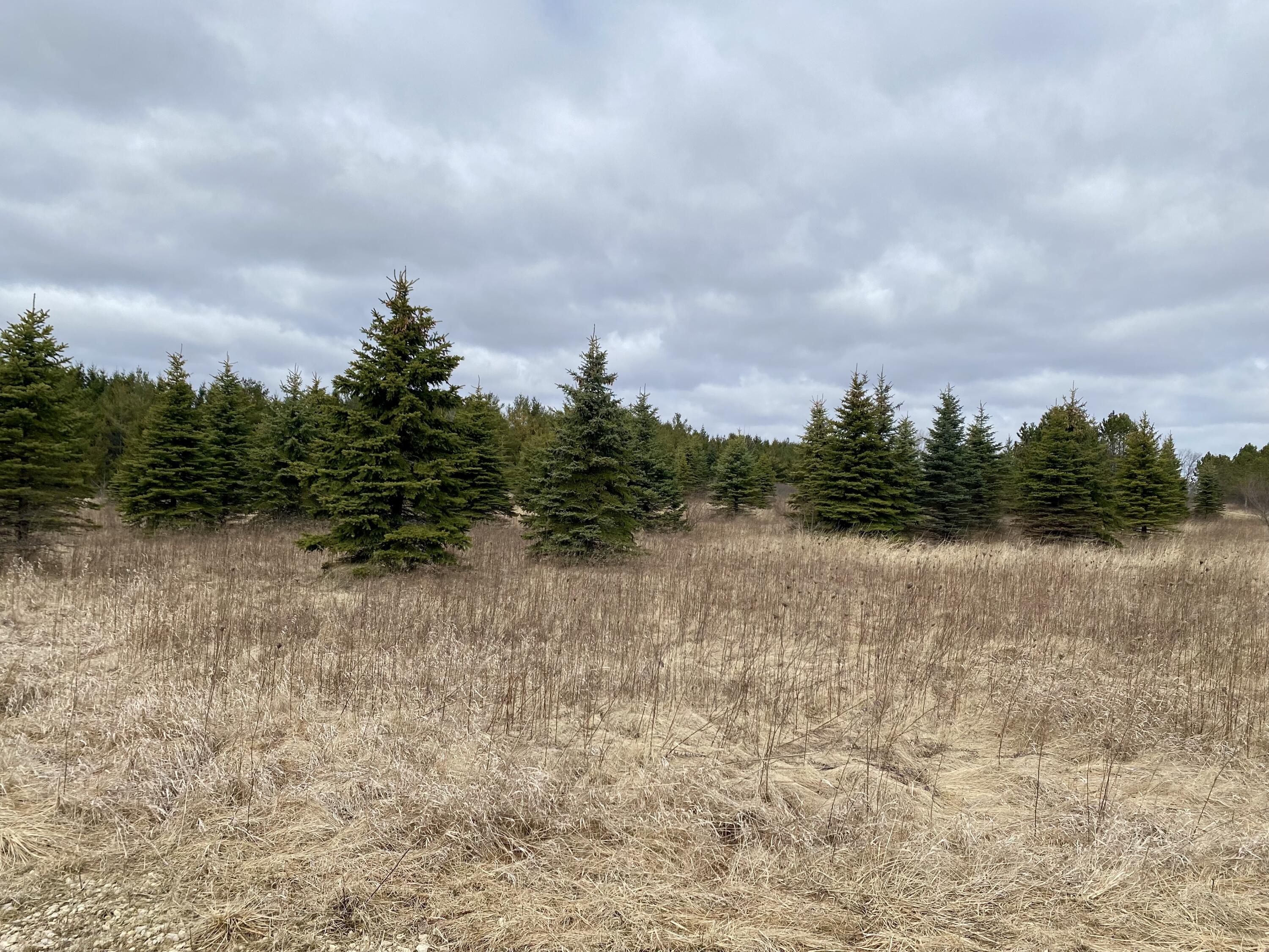 Saukville, Wisconsin 53021, United States, ,Land,Active,89