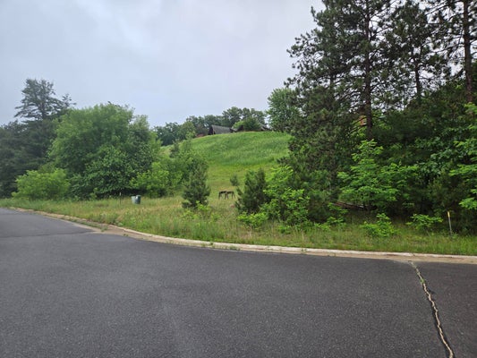 255 BLOSSOM DR, WARRENS, WI 54666 - Image b8b15065c55a67ce73f44909cbca99e7/3601342389