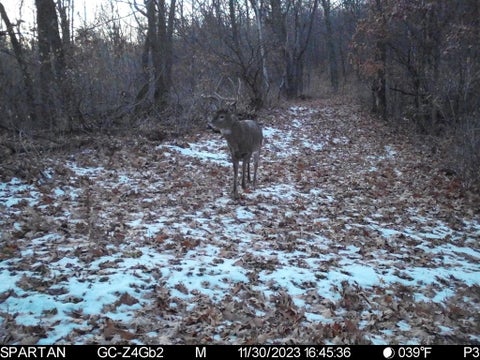 Photo of 0 County Rd DD -, Gale, WI 54627 (MLS # 1980552)