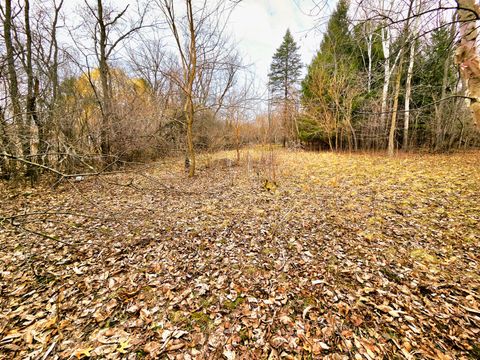 Photo of Lts 6-9 Arbutus Rd, Sugar Creek, WI 53121 (MLS # 1955648)