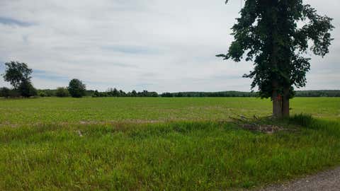 Photo of Lt1 Peshtigo River Rd, Laona, WI 54541 (MLS # 1969472)
