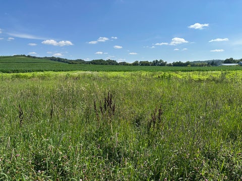 Photo of 00 Lot 6 Twin Creeks Rd, Barre, WI 54601 (MLS # 1970365)