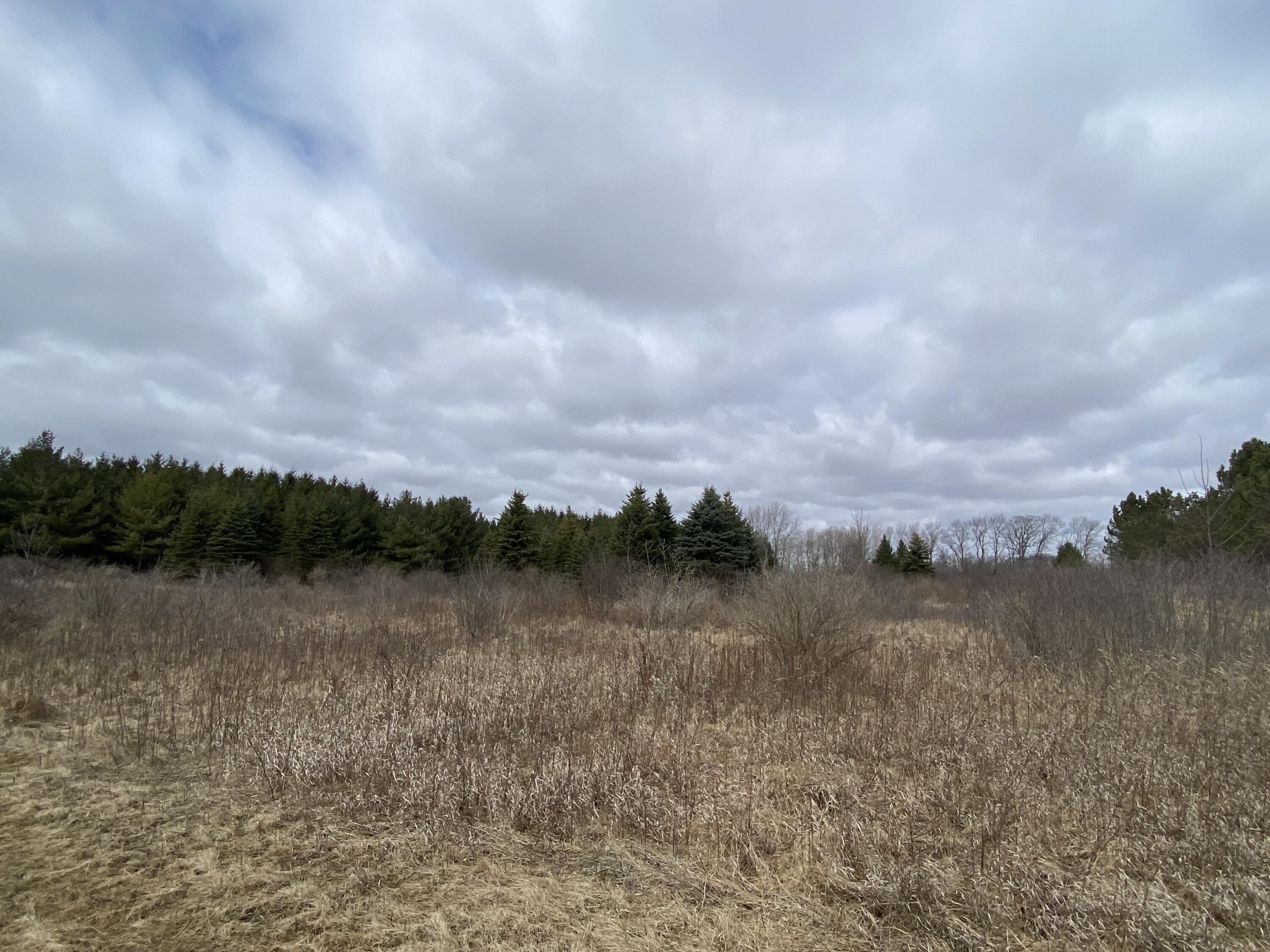 Saukville, Wisconsin 53021, United States, ,Land,Active,81 Saukville, Wisconsin 53021, United States, ,Land,Active,81