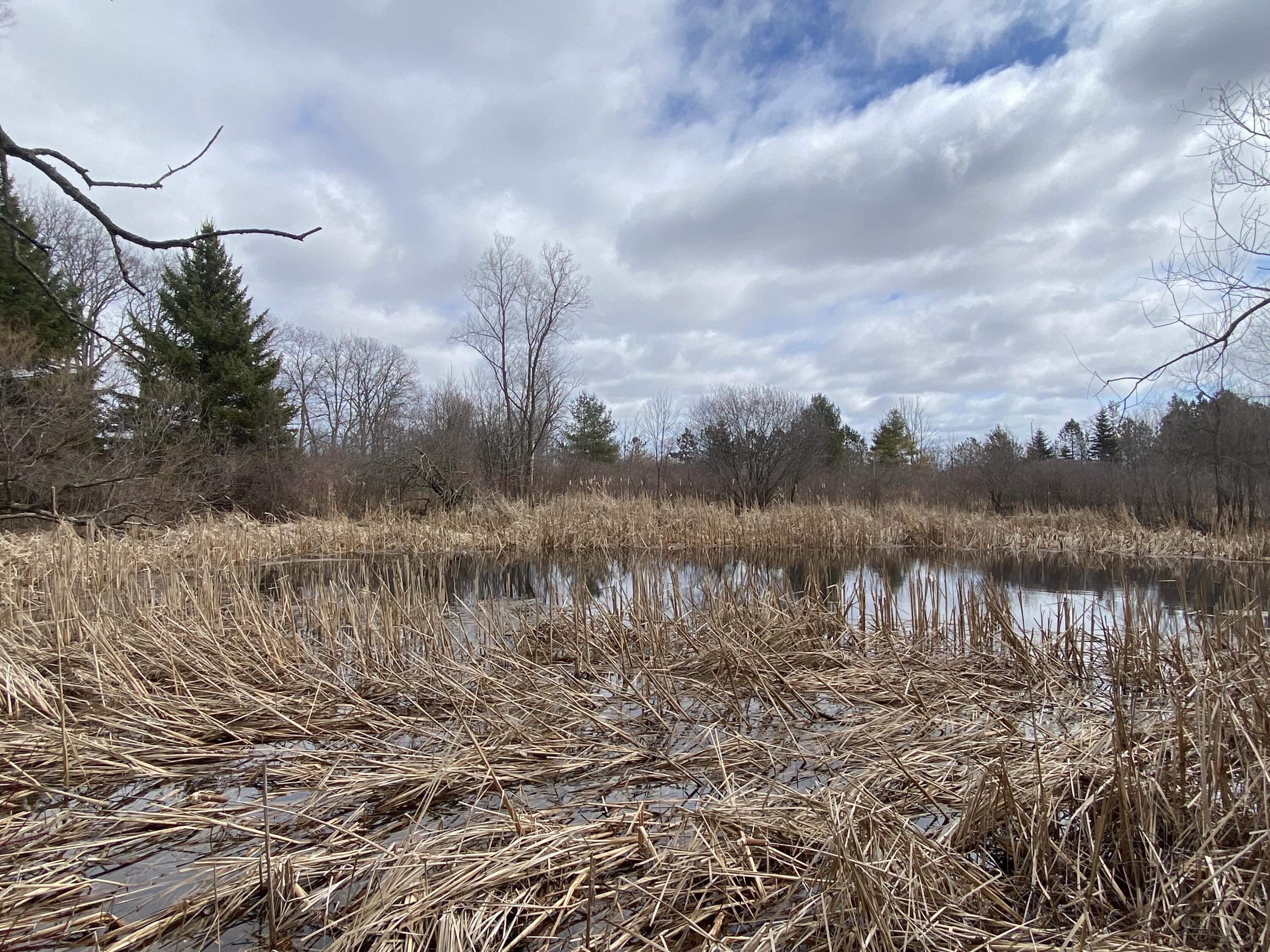 Saukville, Wisconsin 53021, United States, ,Land,Active,81