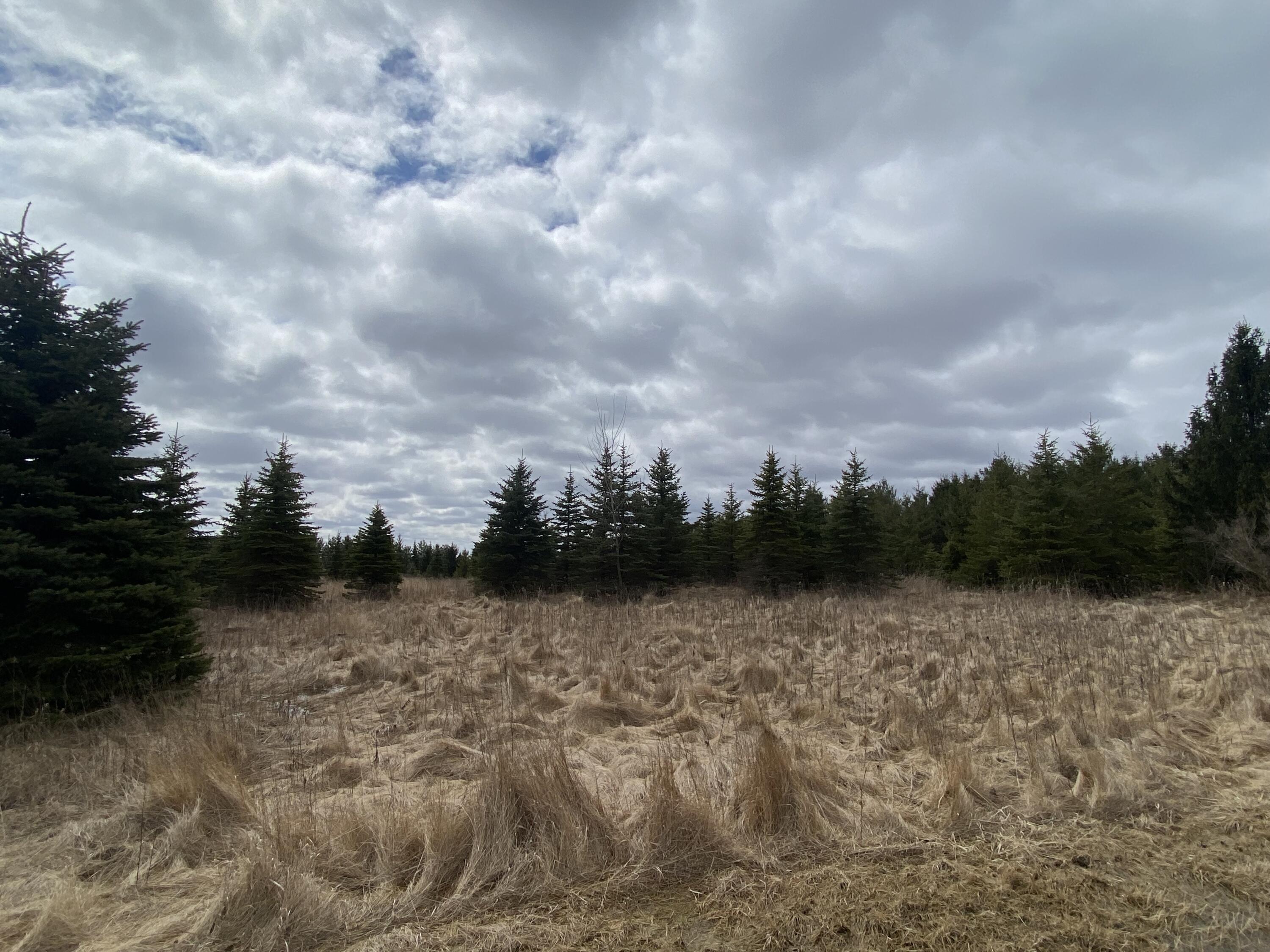 Saukville, Wisconsin 53021, United States, ,Land,Active,81