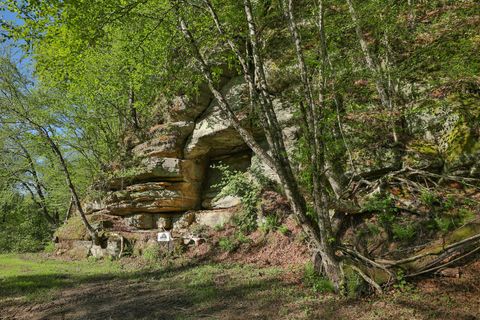 Photo of N971 Pekala Rd, Seven Mile Creek, WI 53948 (MLS # 1964073)