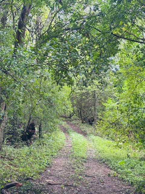 Photo of S69W39606 County Road N Rd, Eagle, WI 53119 (MLS # 1979263)