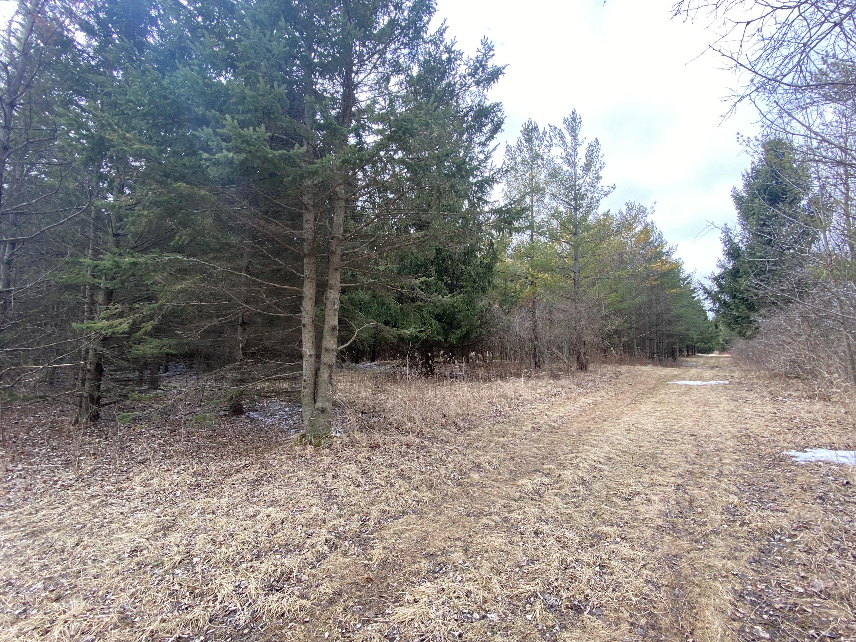 Saukville, Wisconsin 53021, United States, ,Land,Active,77 Saukville, Wisconsin 53021, United States, ,Land,Active,77