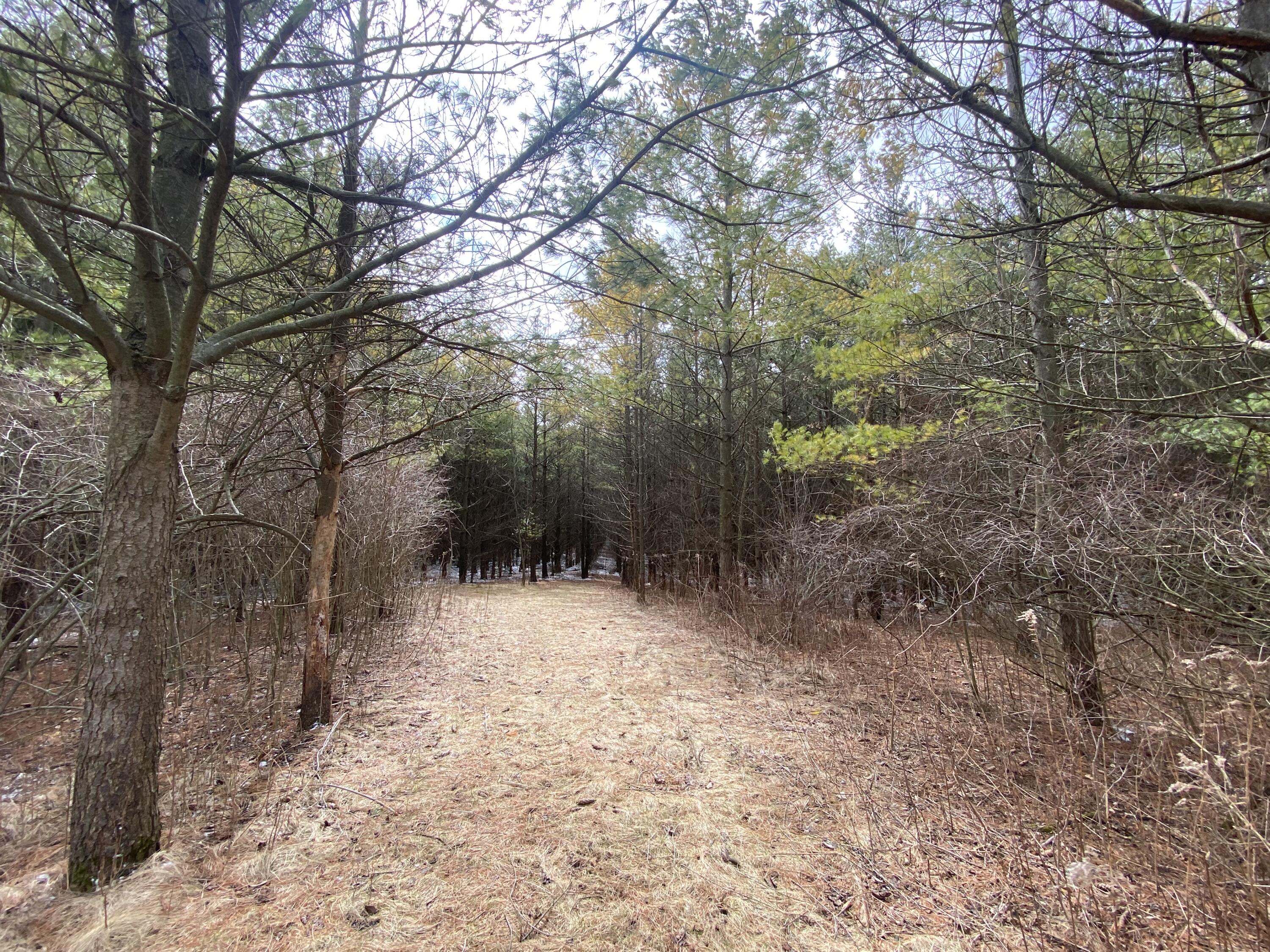 Saukville, Wisconsin 53021, United States, ,Land,Active,77