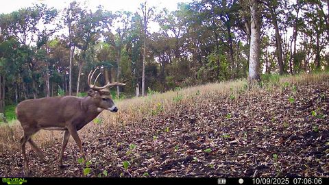 Photo of W27022 Whistlers Pass Rd, Dodge, WI 54625 (MLS # 1947066)